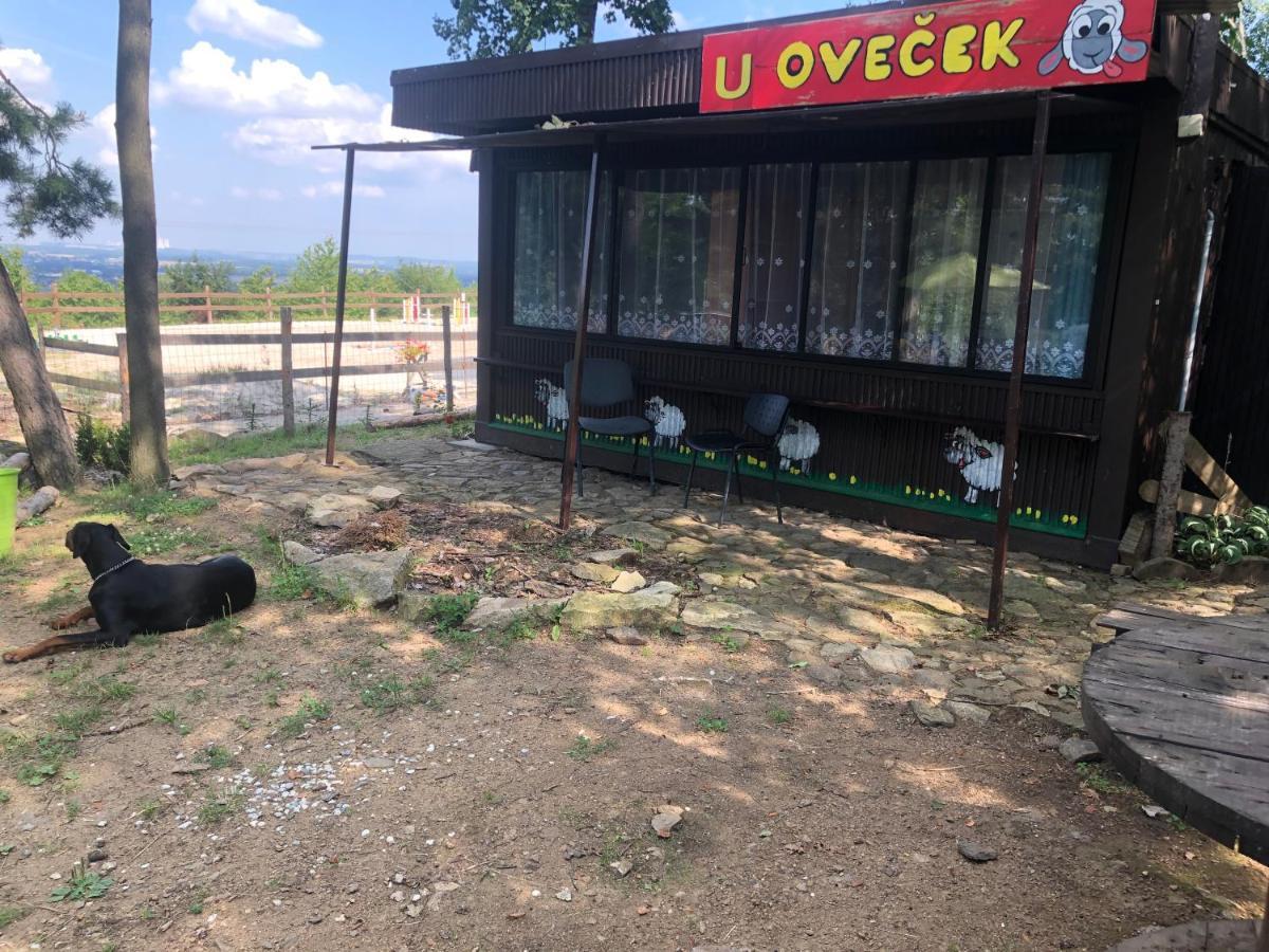 ホテル Ubytovani Pod Haniperkem Vodňany エクステリア 写真